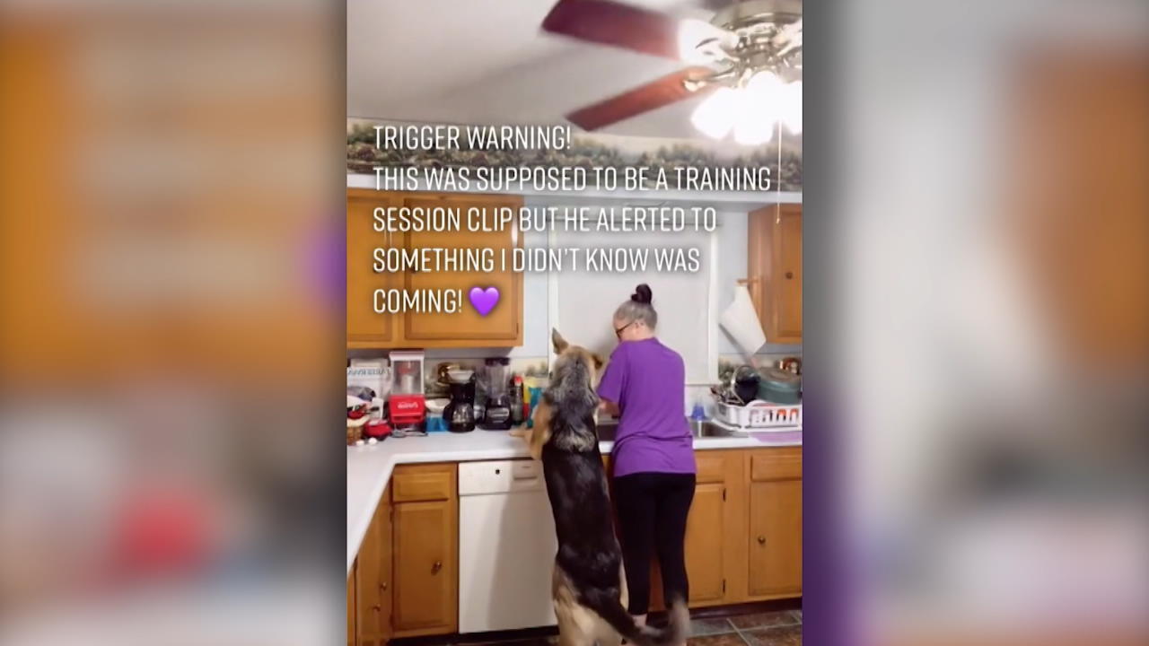 Dieser Hund merkt, dass sein Frauchen einen Anfall hat Tier rettet Epileptikerin