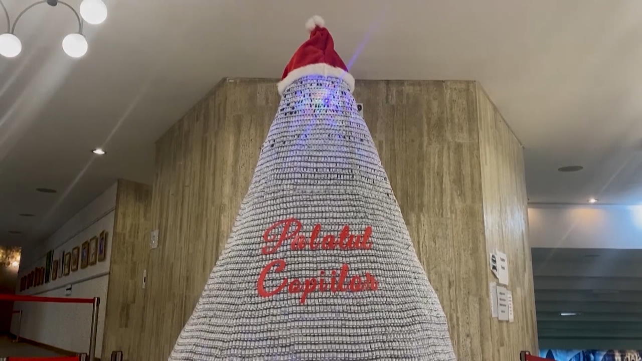 Ist DAS der schrägste Weihnachtsbaum der Welt? Baum mit Botschaft