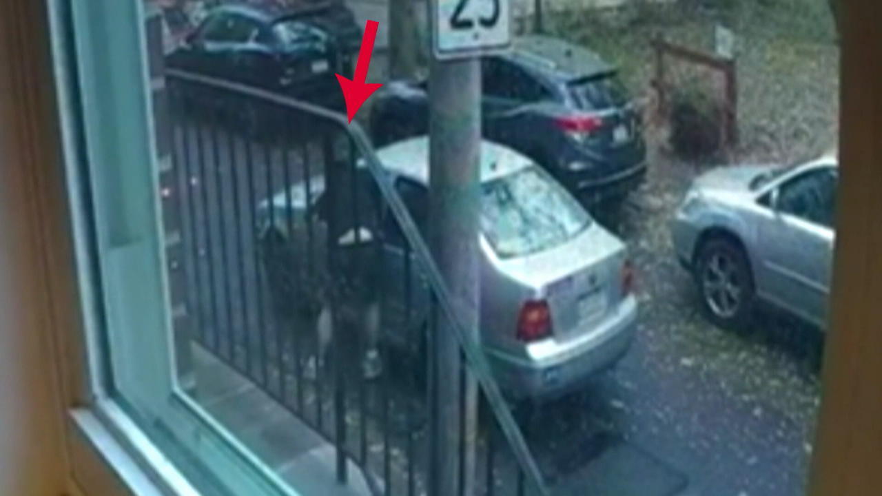 Mann will Auto klauen - Nachbarn schlagen ihn in die Flucht Diebstahl mit vereinten Kräften verhindert