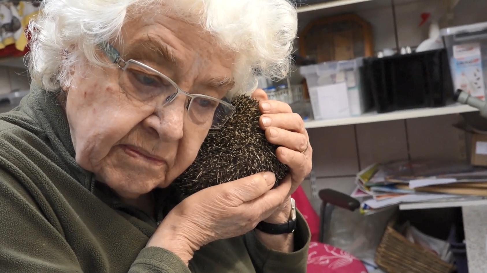 Seniorin päppelt Igel auf Tierische Liebe