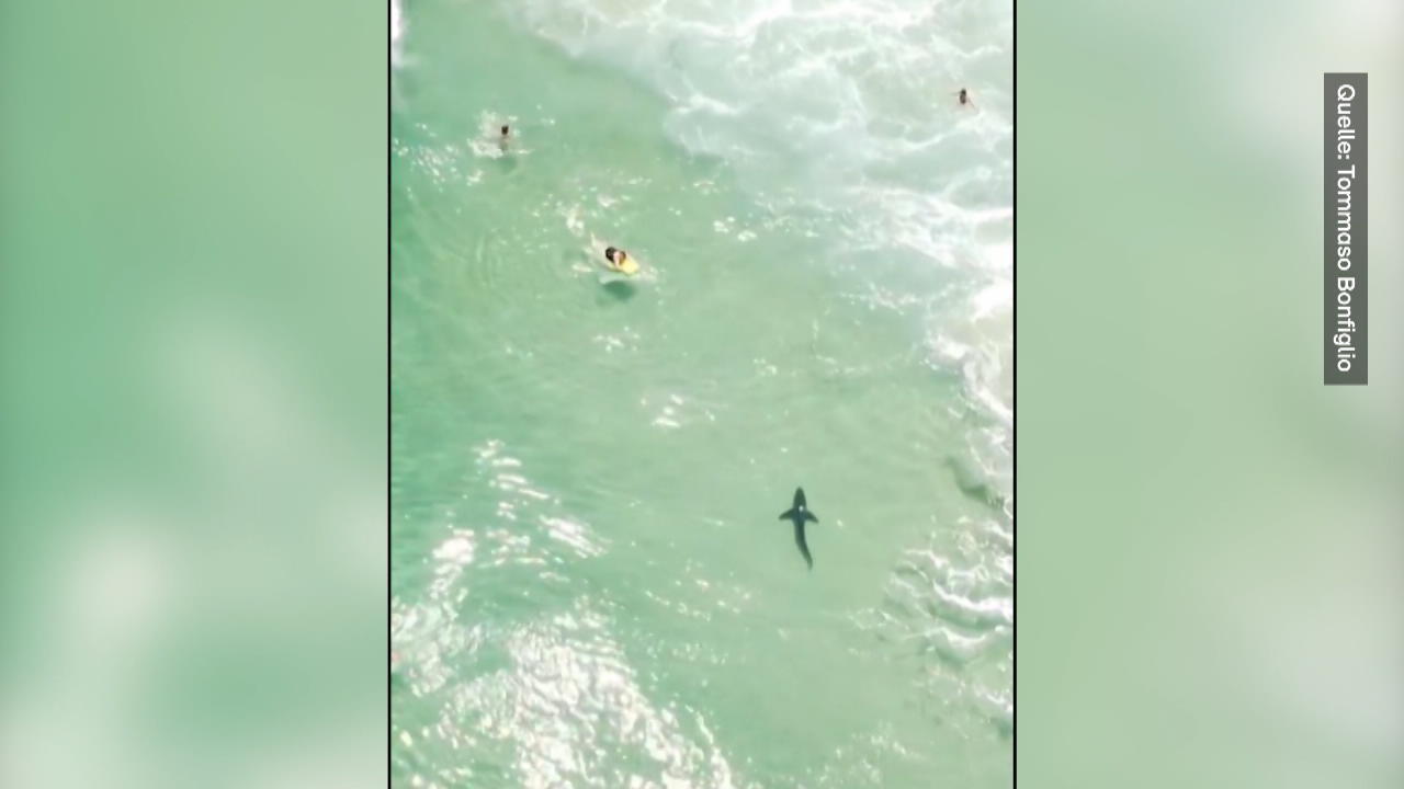 Hai kommt Surfern gefährlich nahe Beunruhigendes Drohnenvideo
