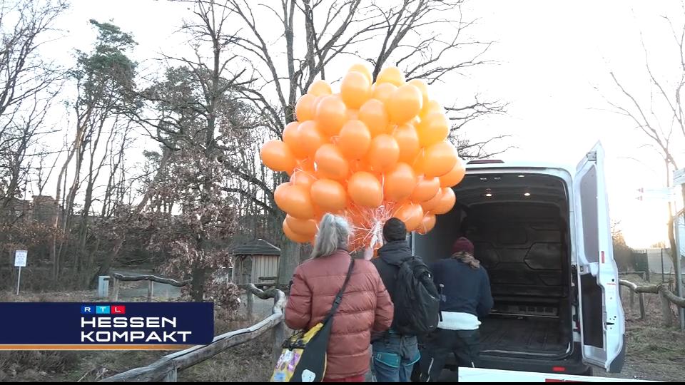 Aktion der Initiative "Letzte Generation" wird unterbunden Keine 99 Luftballons über Frankfurter Flughafen