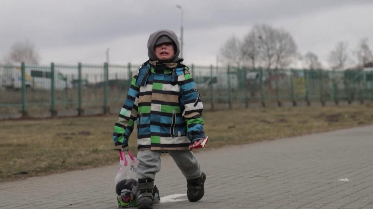 Dieses Kind zeigt das ganze Elend dieses verdammten Krieges Flucht aus der Ukraine