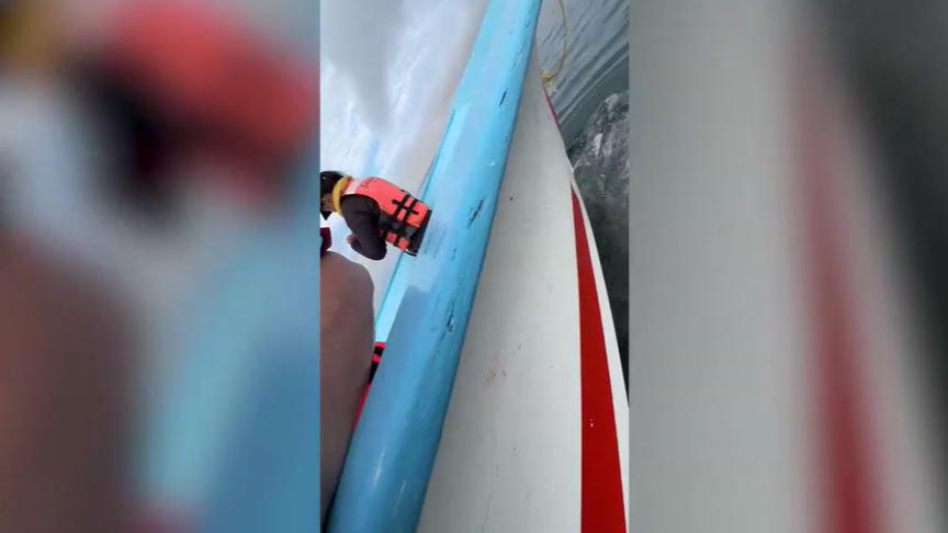 Irre Bilder! Wilder Grauwal „trägt" ein Boot übers Meer Unglaublich!