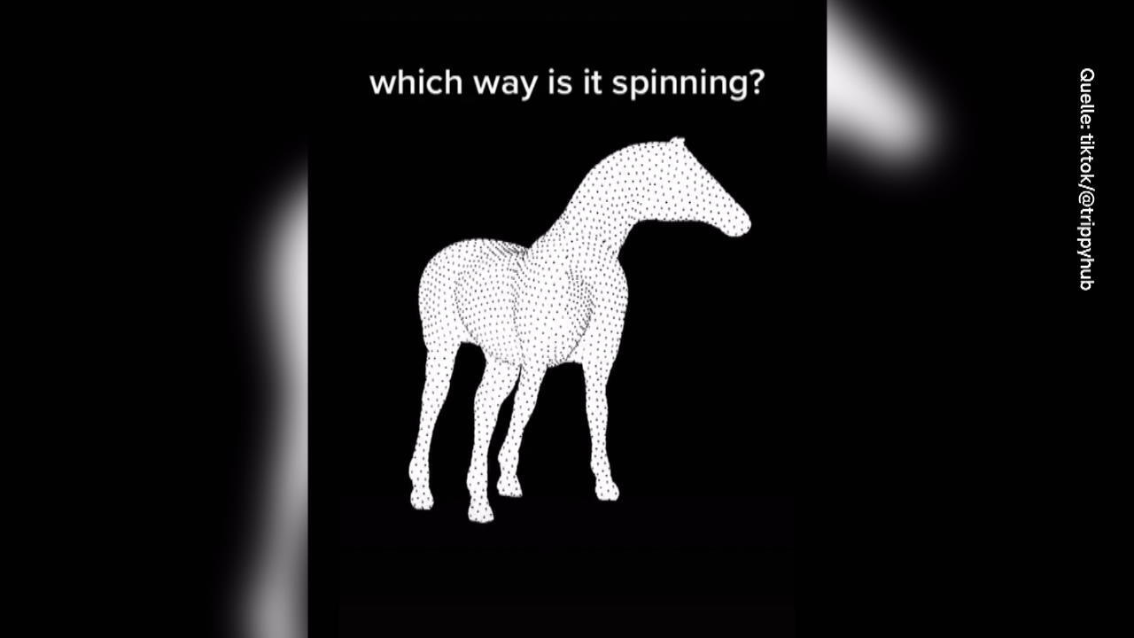 In which direction does the horse turn?  Optical illusions