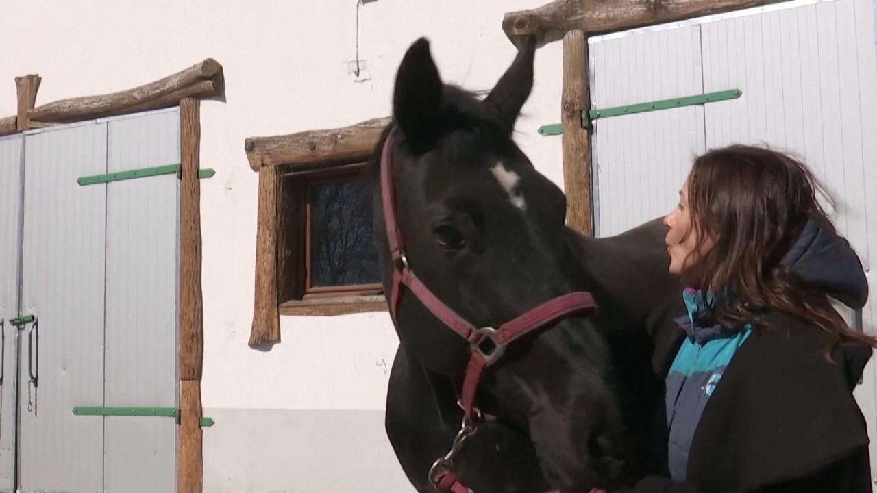 Ukrainerin rettet ihr Pferd vor dem Krieg Sie reiste ins Gefahrengebiet!