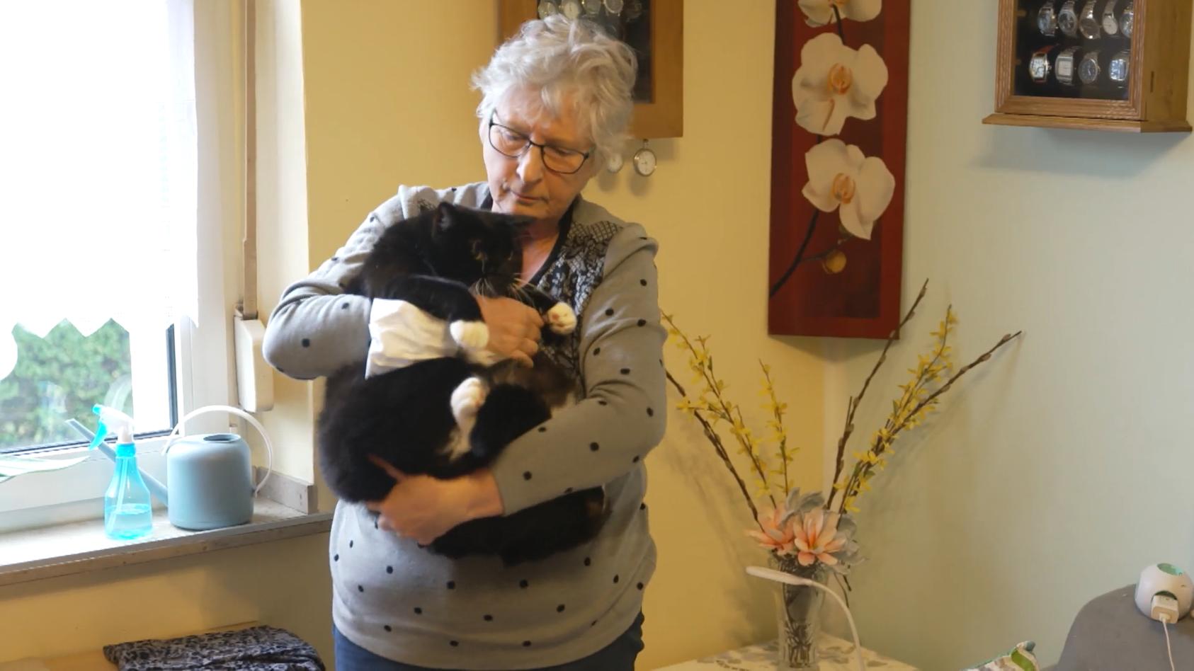 Können übersinnlichen Fähigkeiten Kater Mikesch retten? Tierkommunikatorin klärt mysteriöse Fälle auf