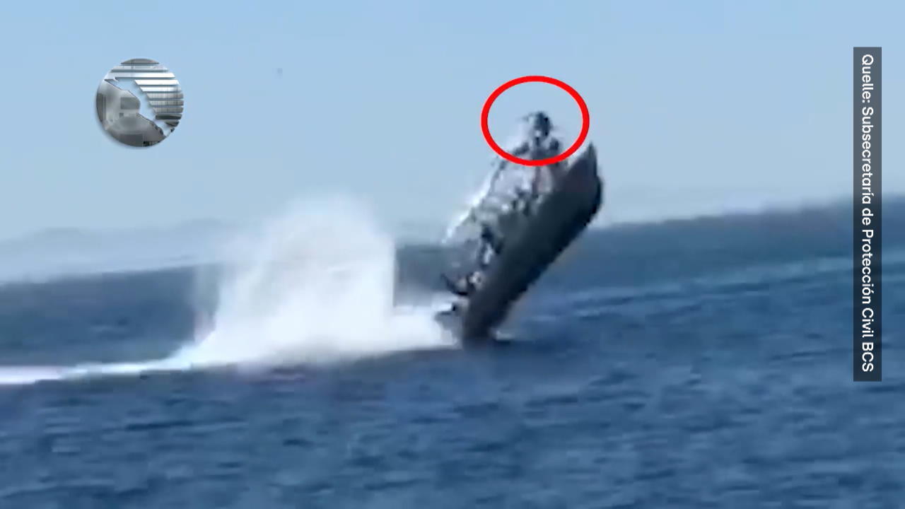 Walhai katapultiert Touristen-Boot in die Luft Spektakuläre Unfall-Bilder aus Mexiko