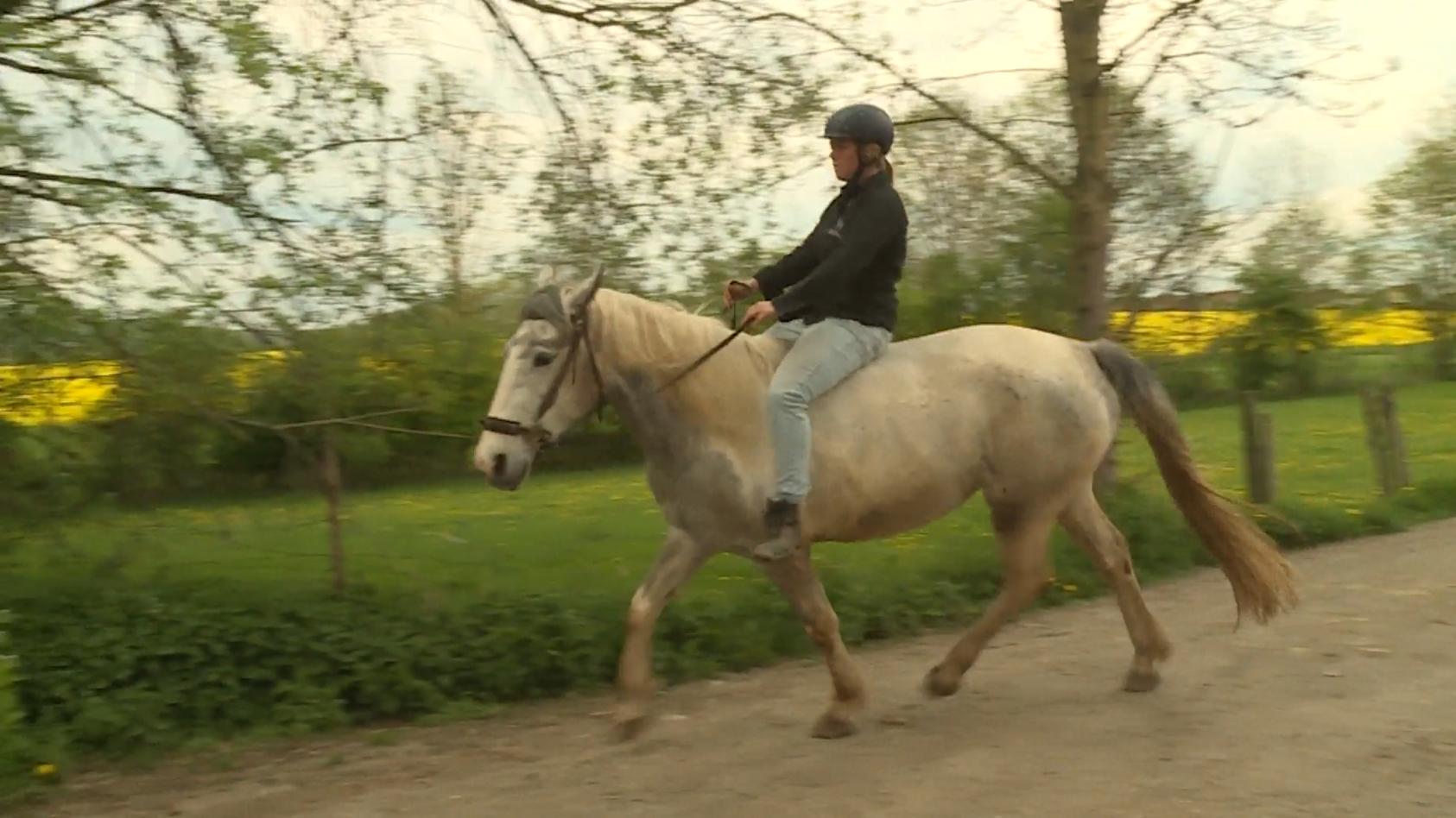 Frau reitet mit Pferd zur Arbeit Um Sprit zu sparen