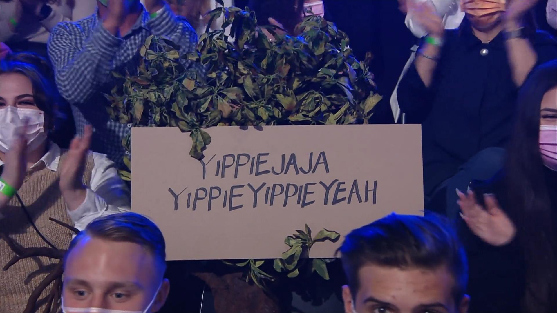 Ein Baum im Publikum? Was macht der da?