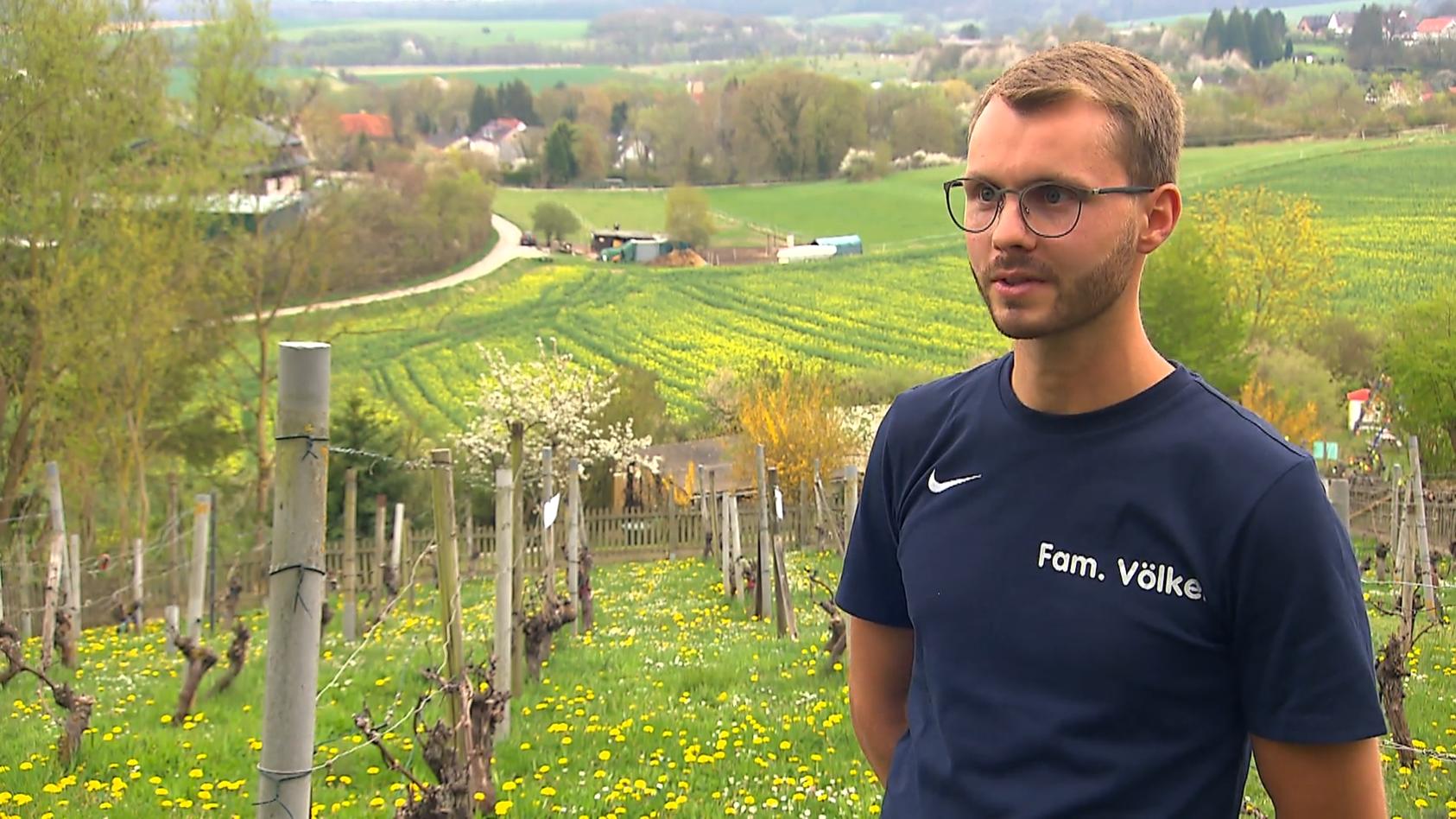 Simon ist Chef über 450 Weinreben Eigener Weinberg mit 23 Jahren