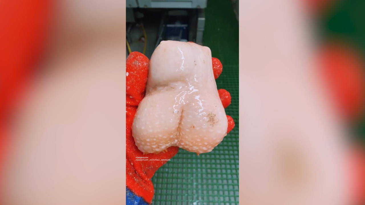 Fischer angelt "Hodenfisch" aus dem Meer Ein Sexspielzeug aus der Tiefsee?