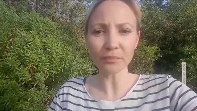 Urlaub auf Kos wird zum echten Horror Toter Delfin vor Kinder-Hotel
