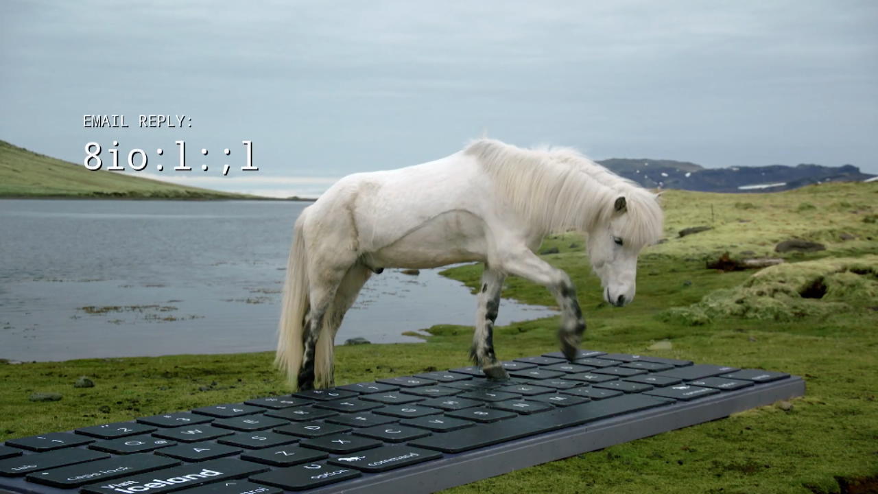 Island: Pferde tippen Abwesenheitsnotizen für den Chef Werbung für mehr Touristen