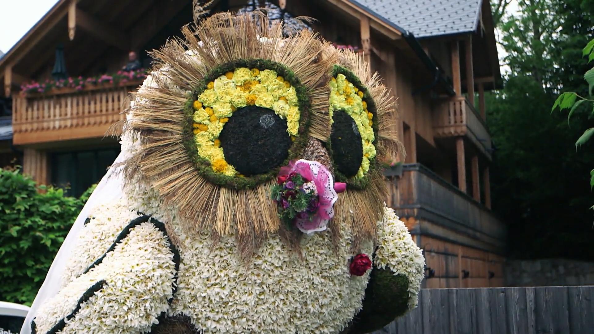 Dorf feiert Narzissenfest Alpine Blütenpracht