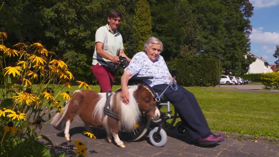 Pony Pumuckl zu Besuß im Seniorenheim Hier steht ein Pferd aufm Flur!