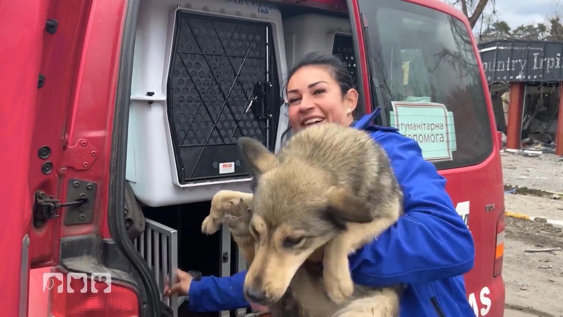 Tier-Rettung in evakuierten Gebieten der Ukraine Dankbarkeit für jede Hilfe