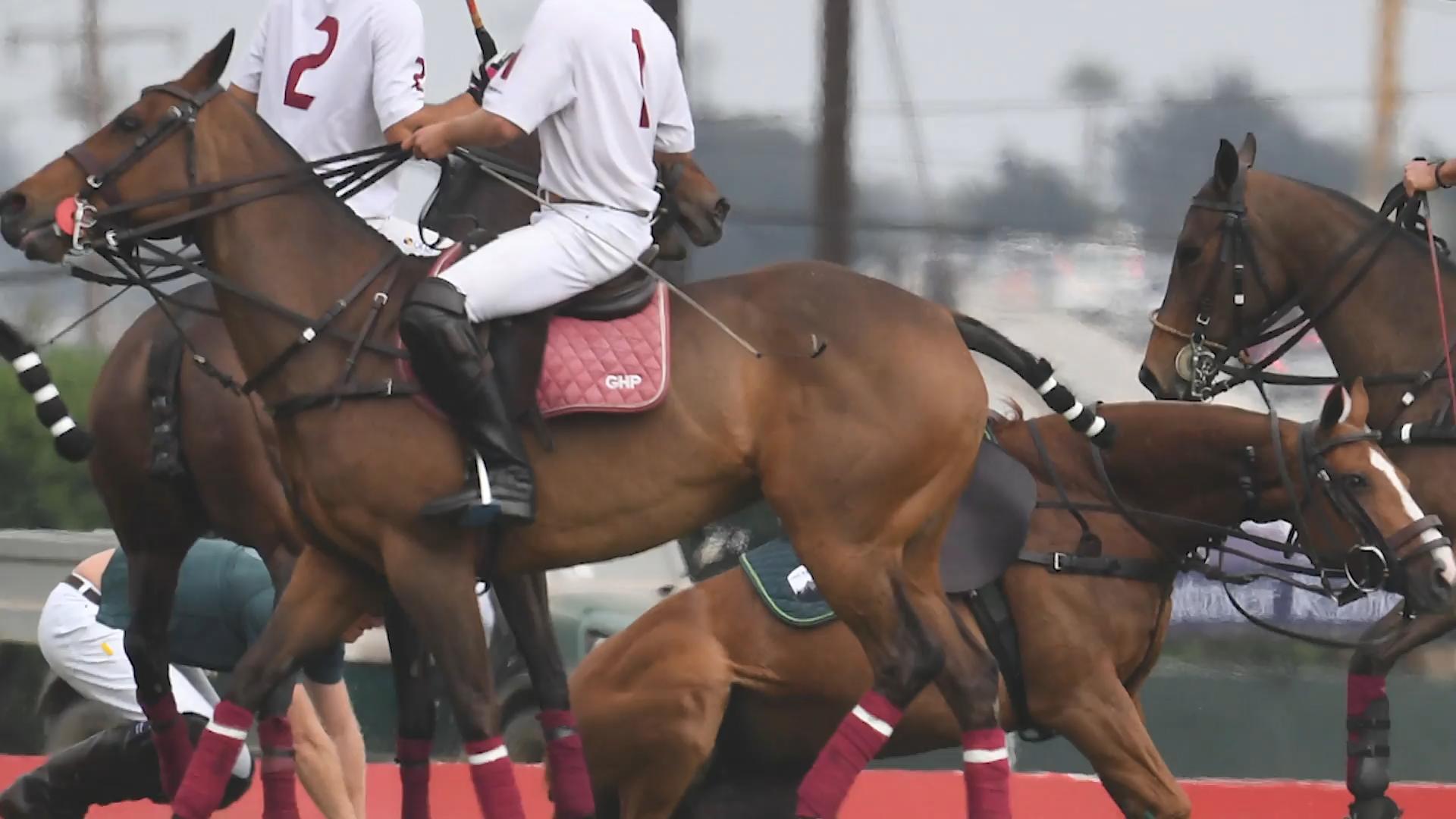 Prinz Harry stürzt mit Pferd beim Polospiel Schreck-Sekunde auf dem Feld