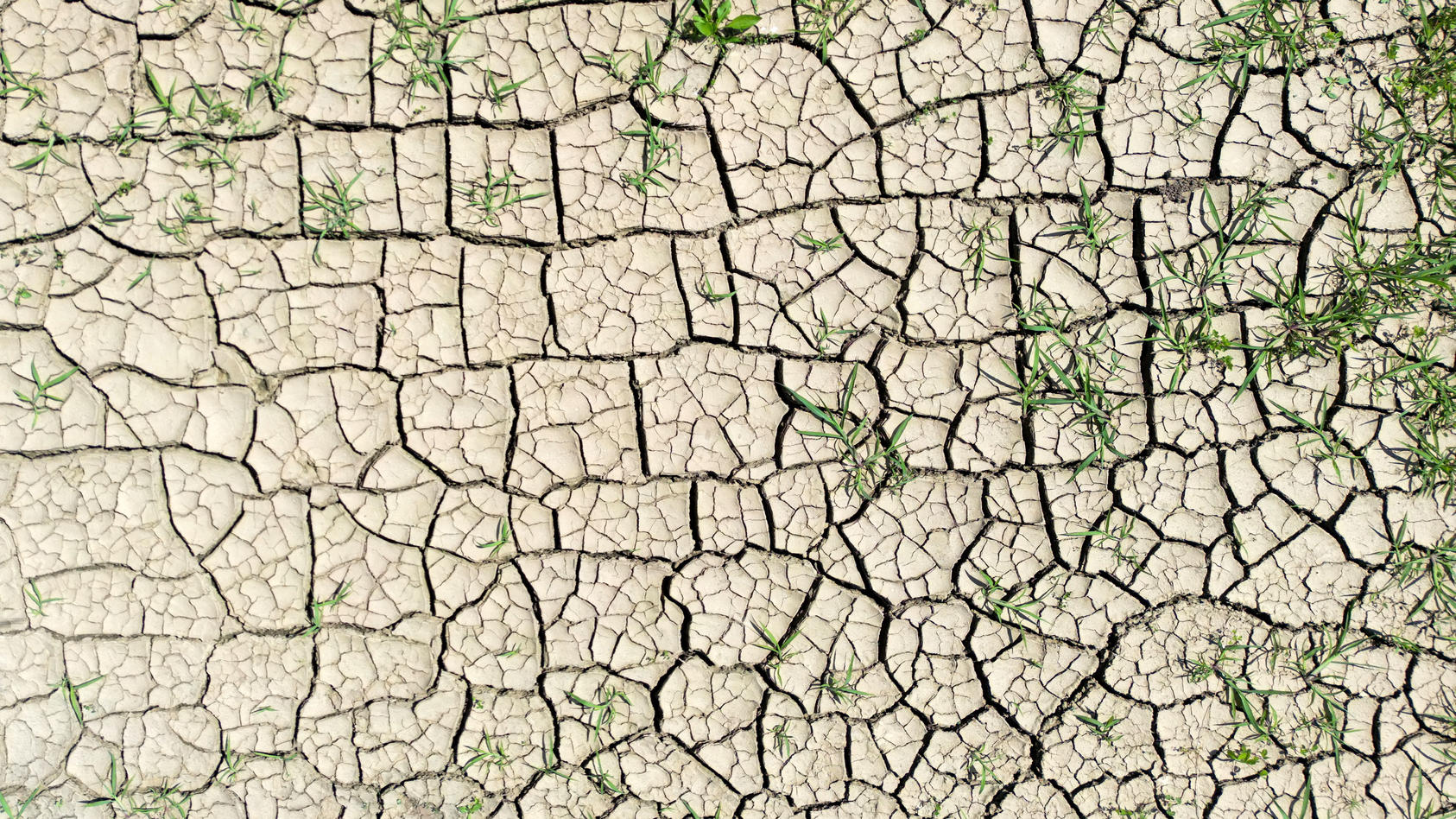 Nach erster Hitzewelle: Große Angst vor Dürre in 2022 Trockenes Deutschland