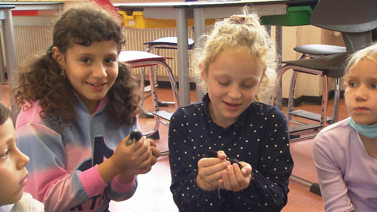 Grundschüler kuscheln mit Hühnerküken Projekt