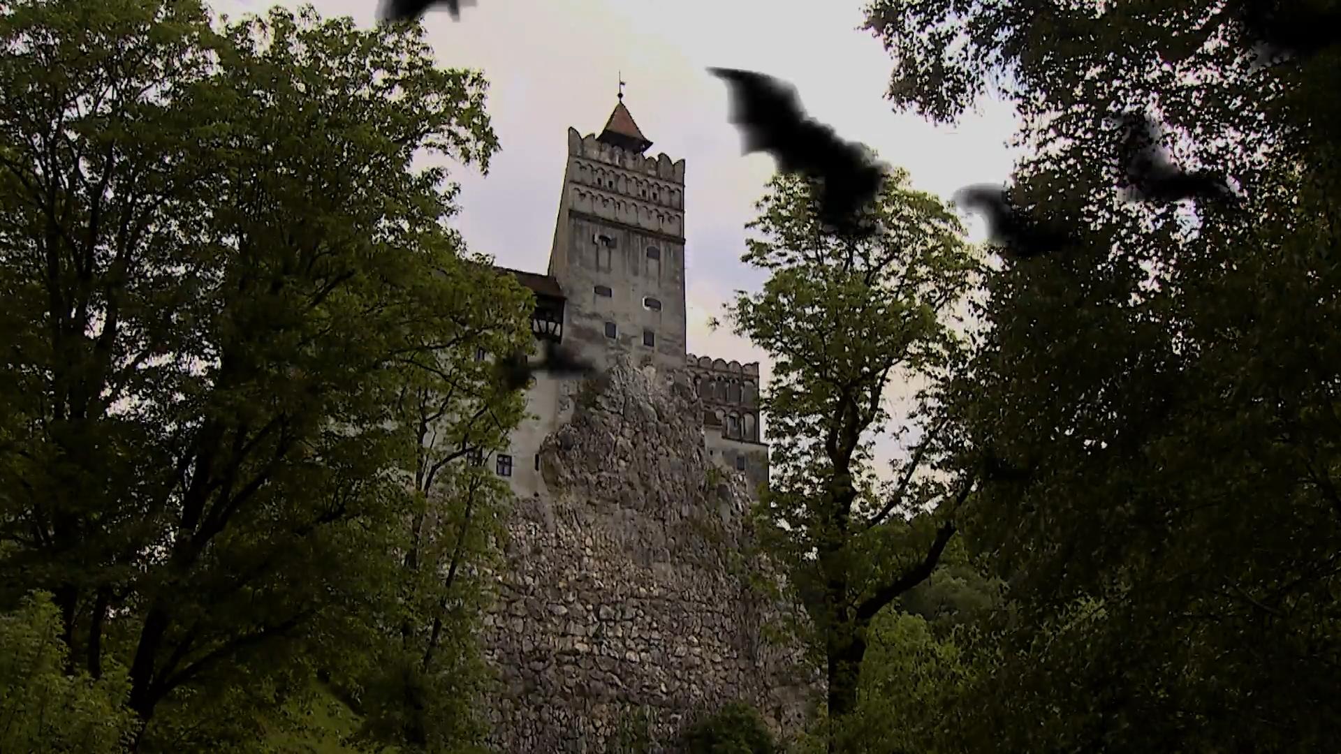 Tim Ghosthunter pergi berburu Apakah ada hantu di kastil Dracula?