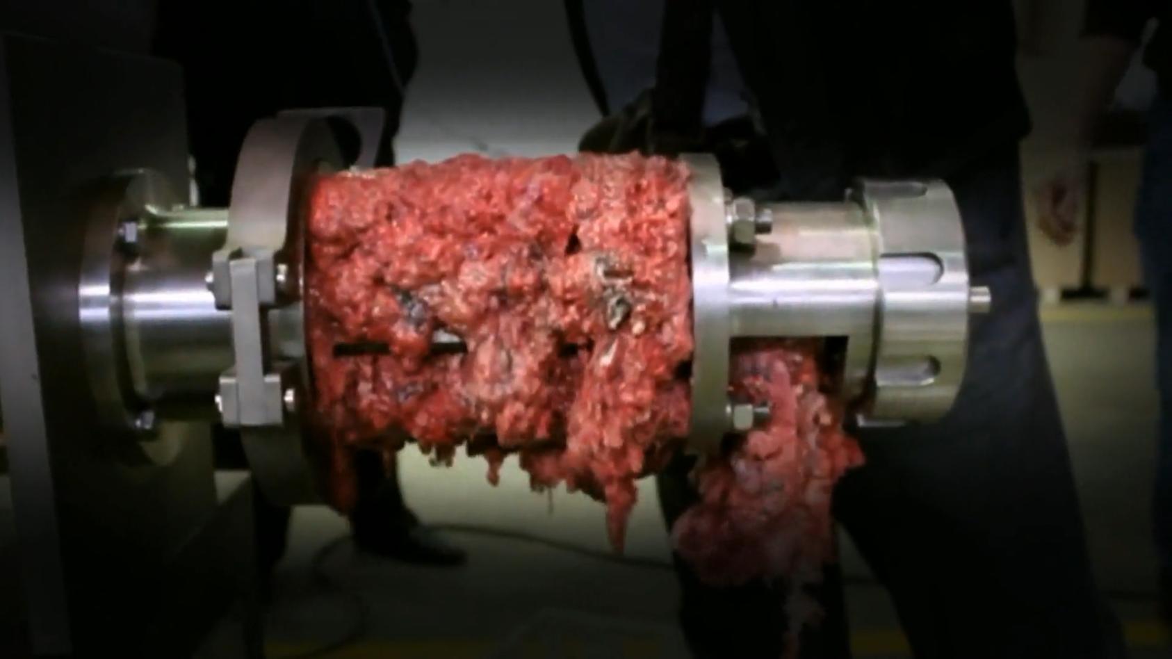 Verdacht auf Knochenbrei in Wurst und Fleisch Sogar Bio-Produkte betroffen!