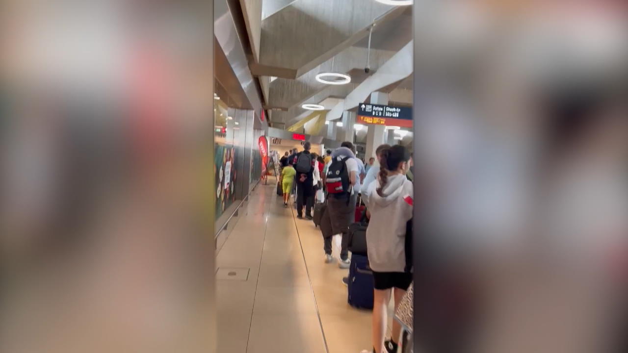 Aeropuerto de Colonia/Bonn: este video muestra el fiasco de las vacaciones en el caos de la espera en lugar de un viaje de vacaciones
