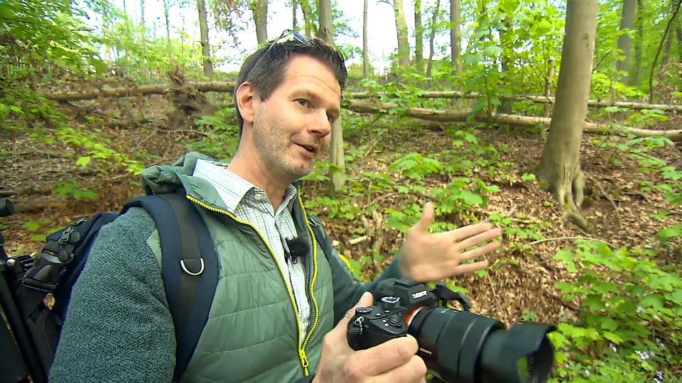 Matthias Müller fängt Hessens Natur mit seiner Kamera ein Herrliches Hessen