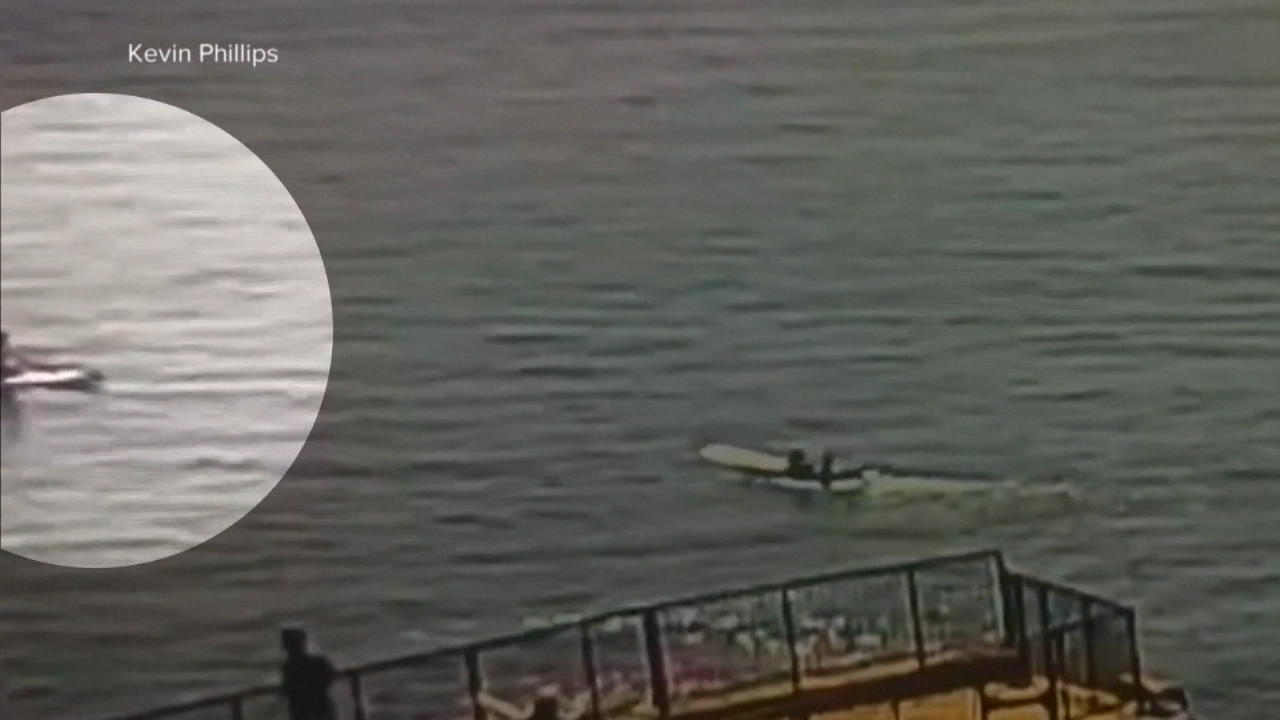 Nach lebensgefährlichem Hai-Angriff: Surflehrer rettet Mann "Der Knochen war sichtbar!"