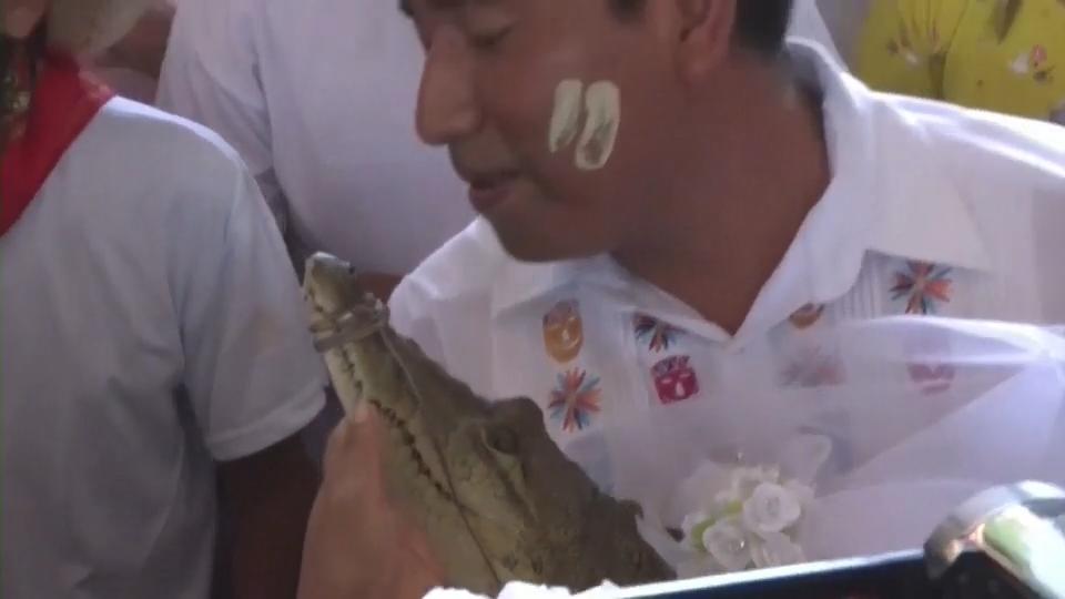 Mexikanischer Bürgermeister heiratet ein Krokodil Ob sich Braut und Bräutigam küssen?