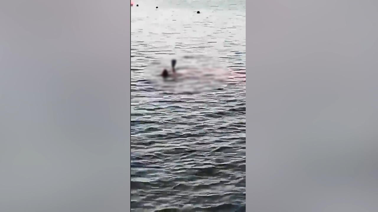 Shark bites Austrian woman (68) Terrible attack in Egypt