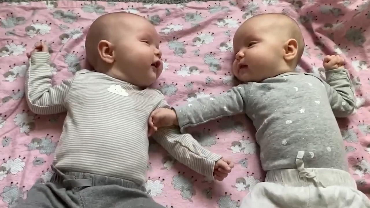 Diese Zwillinge haben zwei biologische Mütter Genetische Sensation