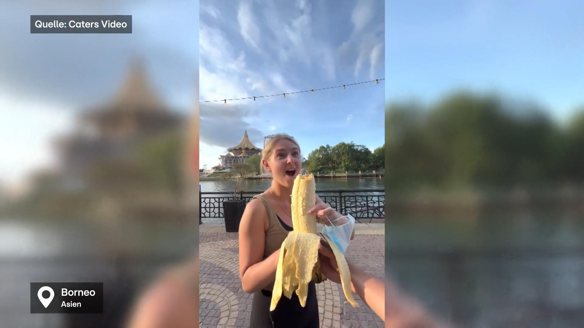 Touristen-Paar wegen Monster-Banane total aus dem Häuschen So lang wie ein Unterarm