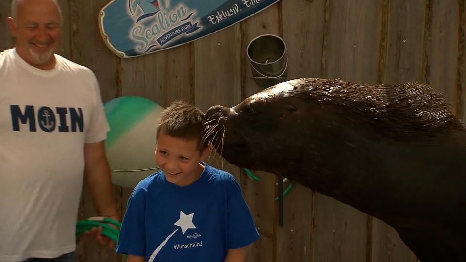 Sea lion kisses Emilio (9) while swimming after leukemia therapy