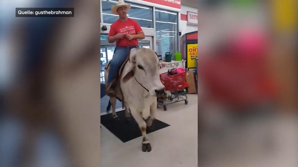 L'uomo cavalca il suo toro nel toro del supermercato al supermercato