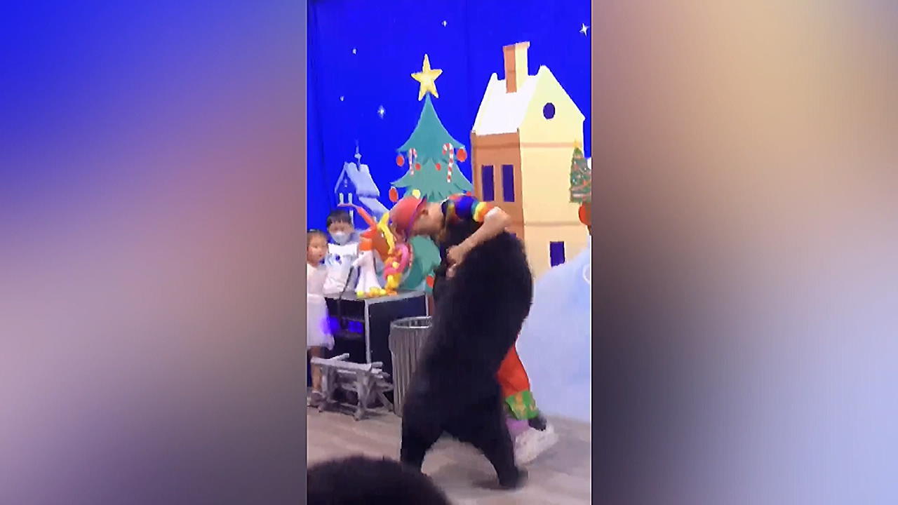 Schwarzbär beißt Trainer - er nimmt das Tier in Würgegriff Zirkus-Aufführung eskaliert