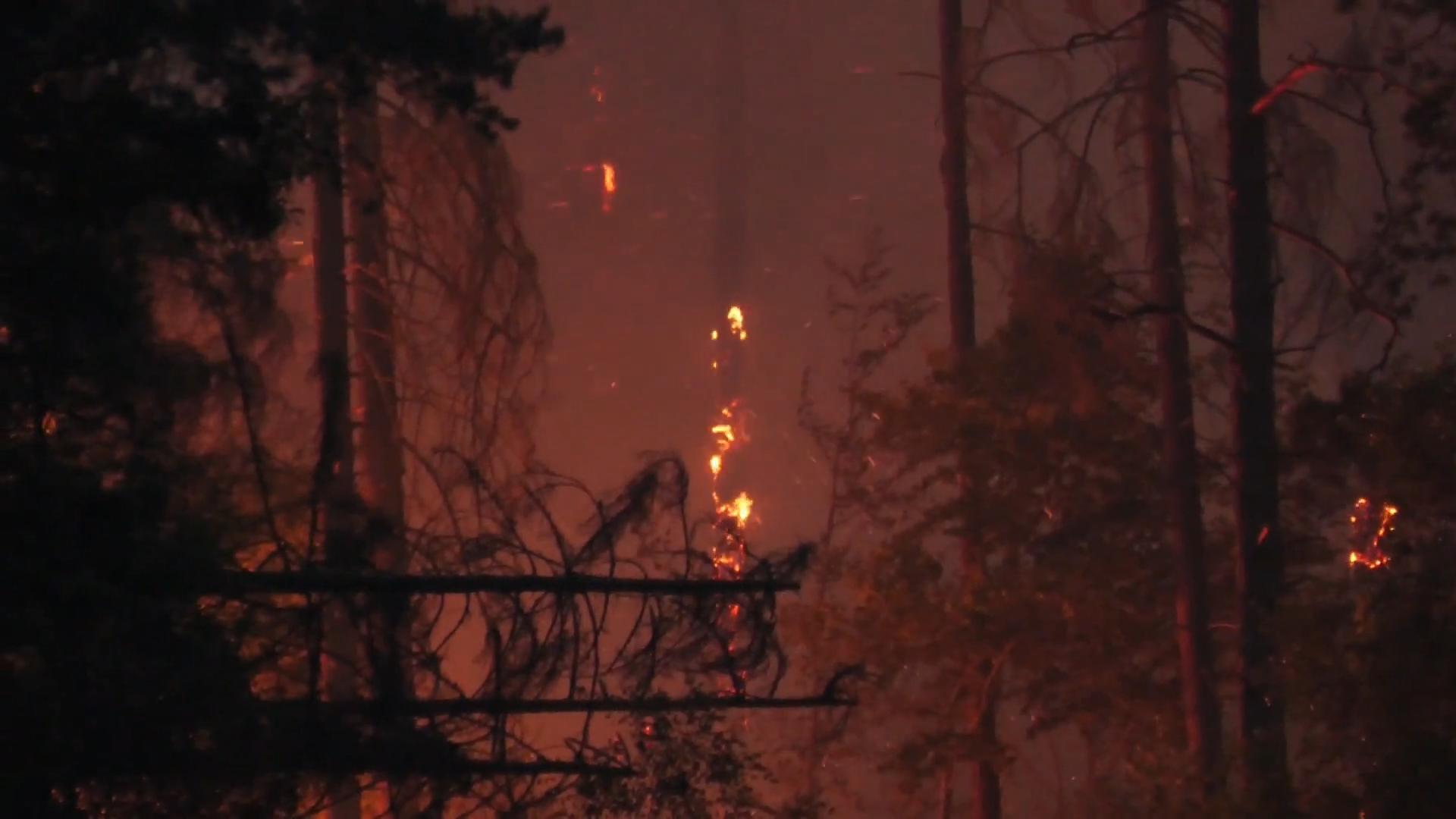 Wald und Feld brennen - Feuer nicht unter Kontrolle Beängstigende Bilder aus Brandenburg