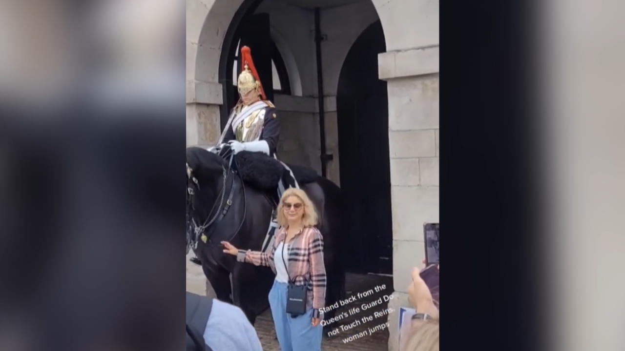 Leibwächter der Queen flippt aus - und schreit Touristin an Pferdeleine angefasst
