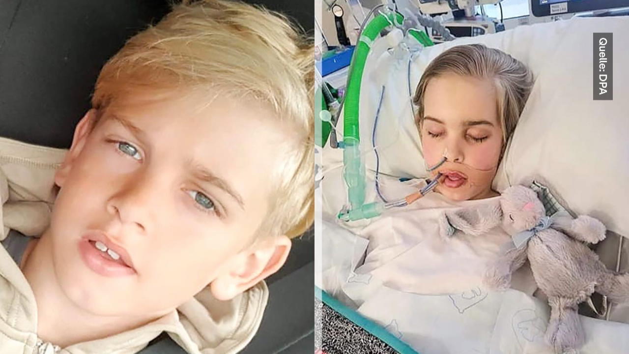 Sein Kampf endet jetzt: Archie (12) muss sterben Letztes Urteil gesprochen
