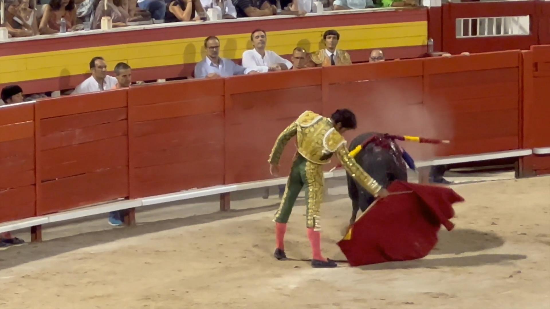 Despite criticism: bullfighting in Mallorca starts again Animal rights activists are demanding a ban