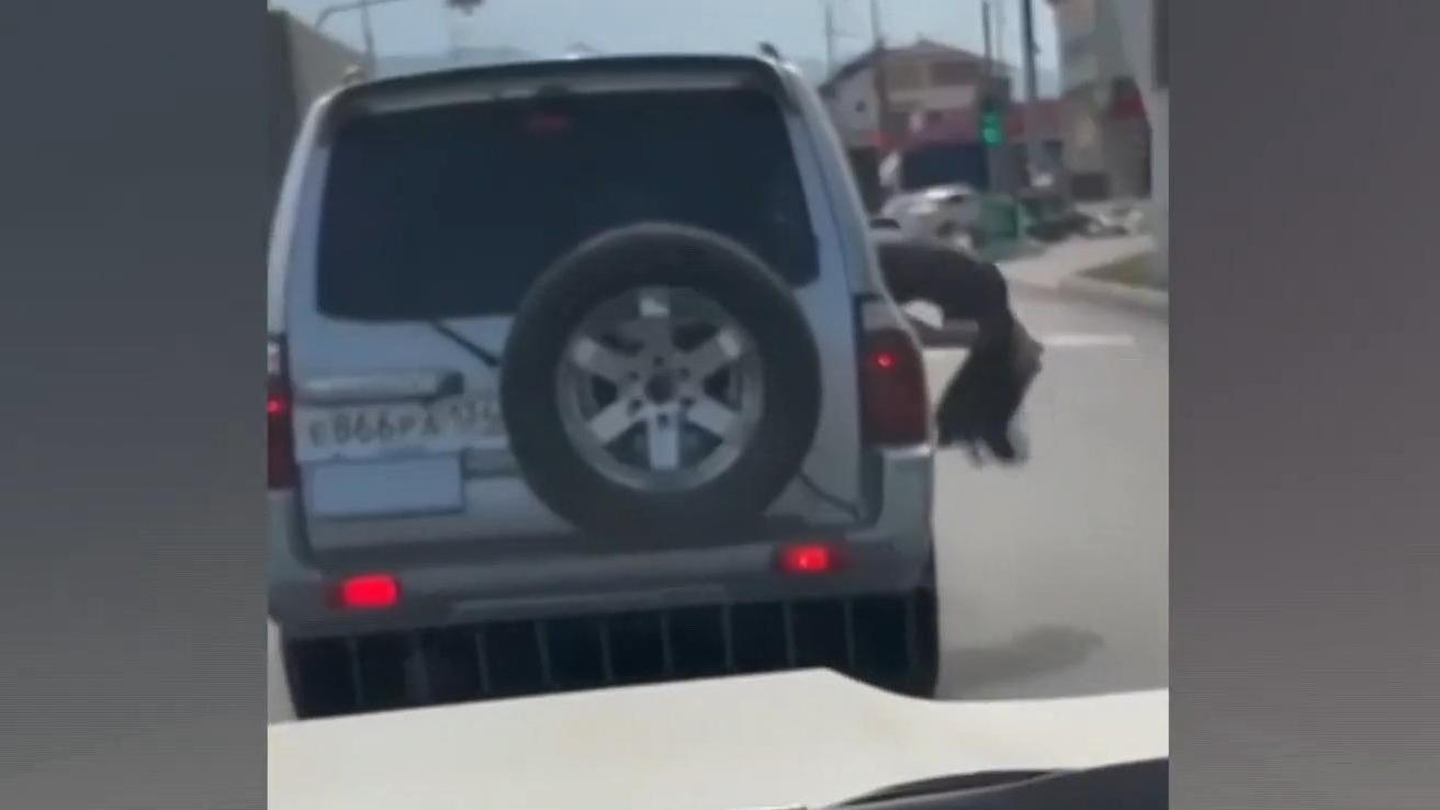 Frau fällt beim Tanzen aus fahrendem Auto Autsch!