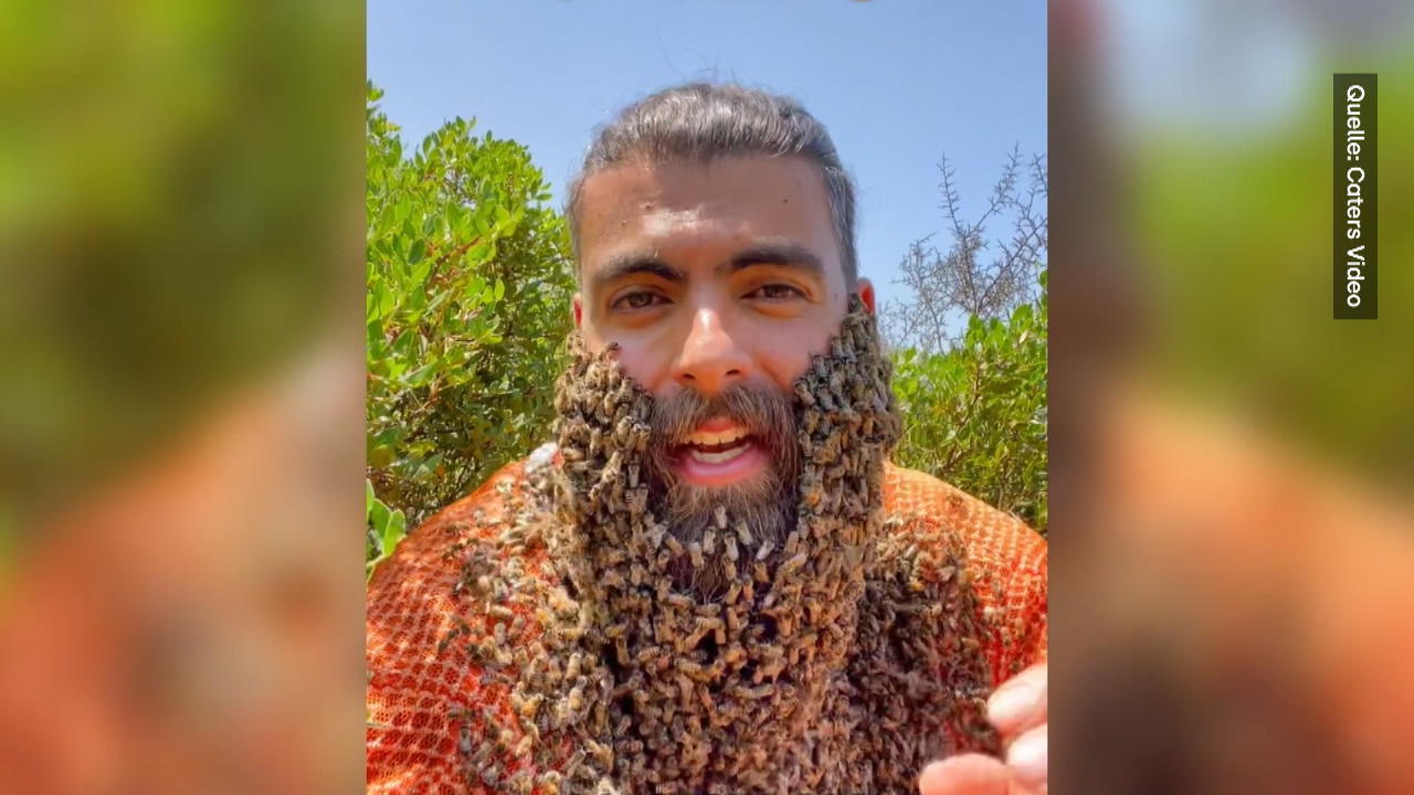 Er hat Hunderte Bienen im Bart - aus gutem Grund! TikToker mit wichtiger Message