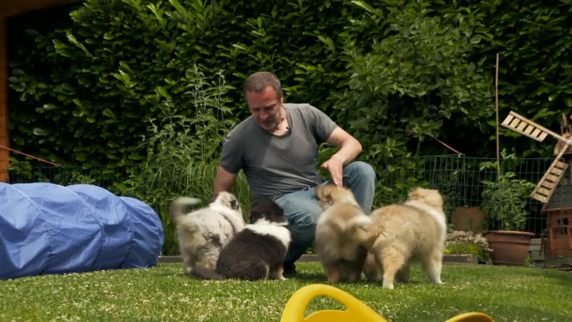 Welcher Hund passt zu wem? RTL Reporter macht den Test