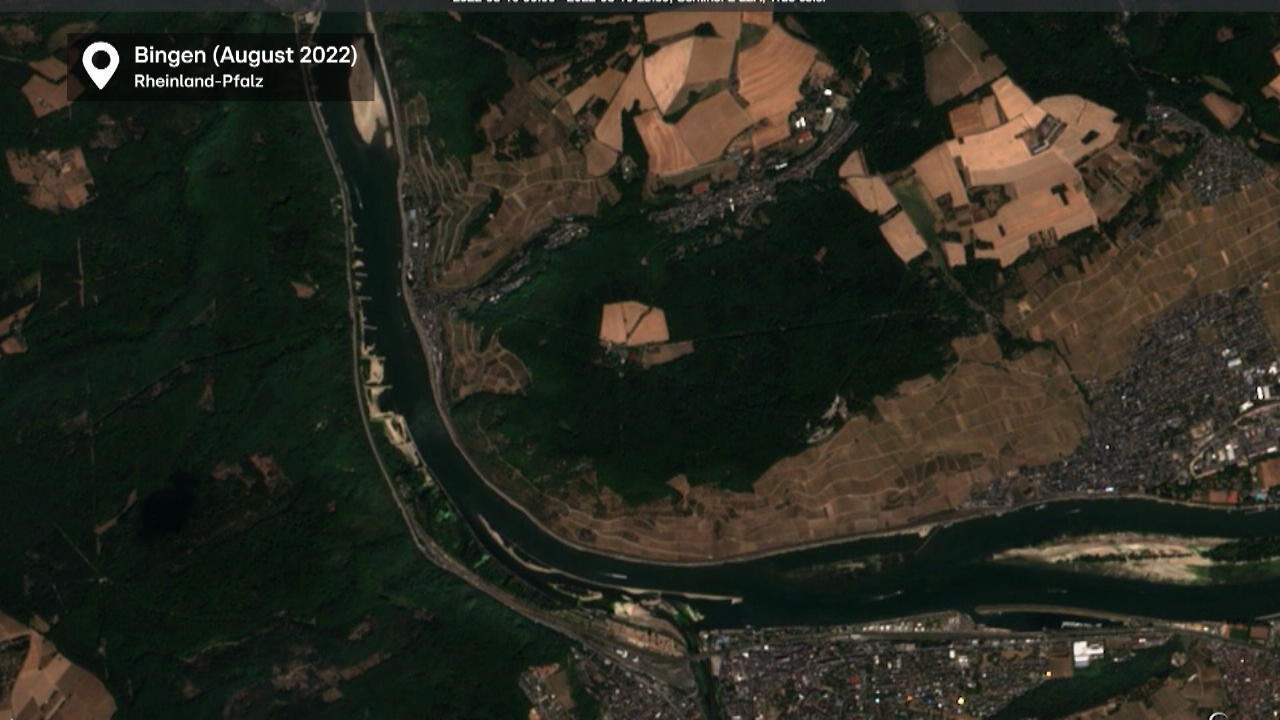 Satellitenbilder zeigen Trockenheit am Rhein Dürre in Deutschland
