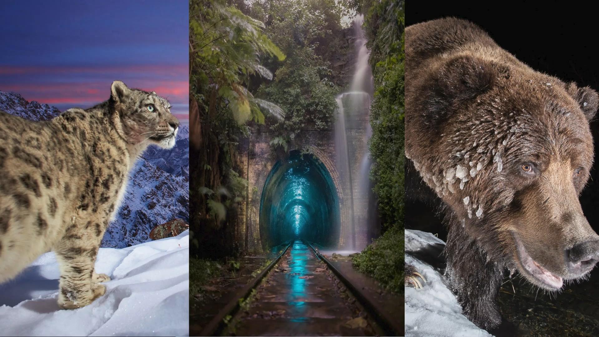 Das sind die Naturbilder des Jahres Atemberaubende Aufnahmen!