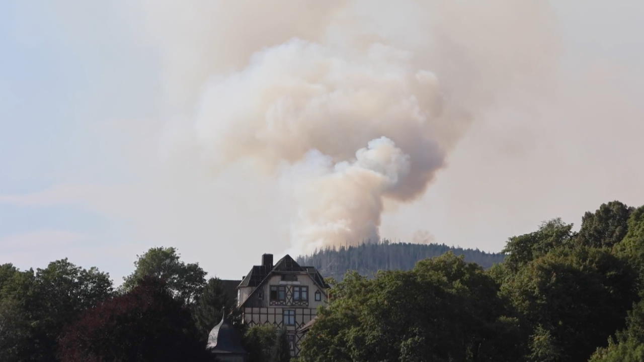 Wald am Brocken steht in Flammen Feuer noch nicht unter Kontrolle