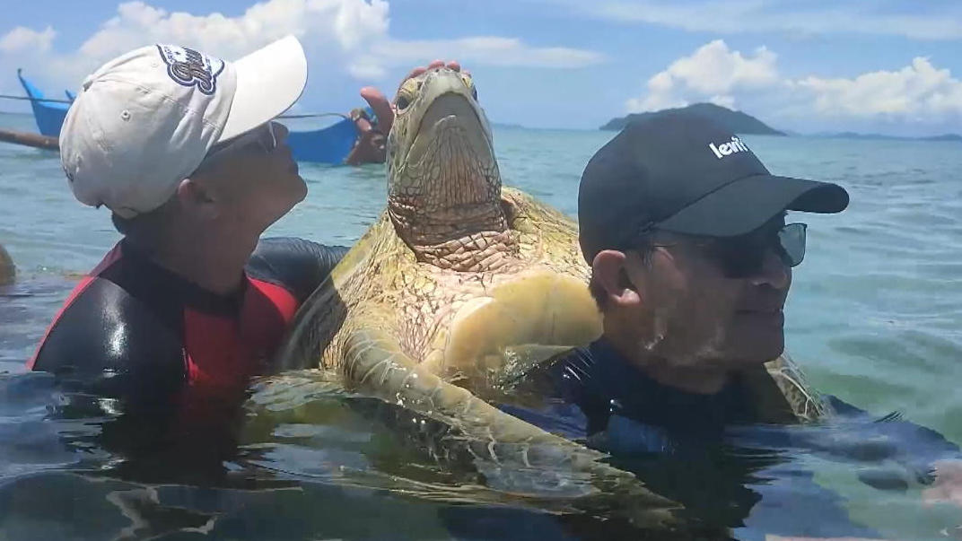 Touristen nehmen Schildkröte huckepack Für Urlaubsfoto!