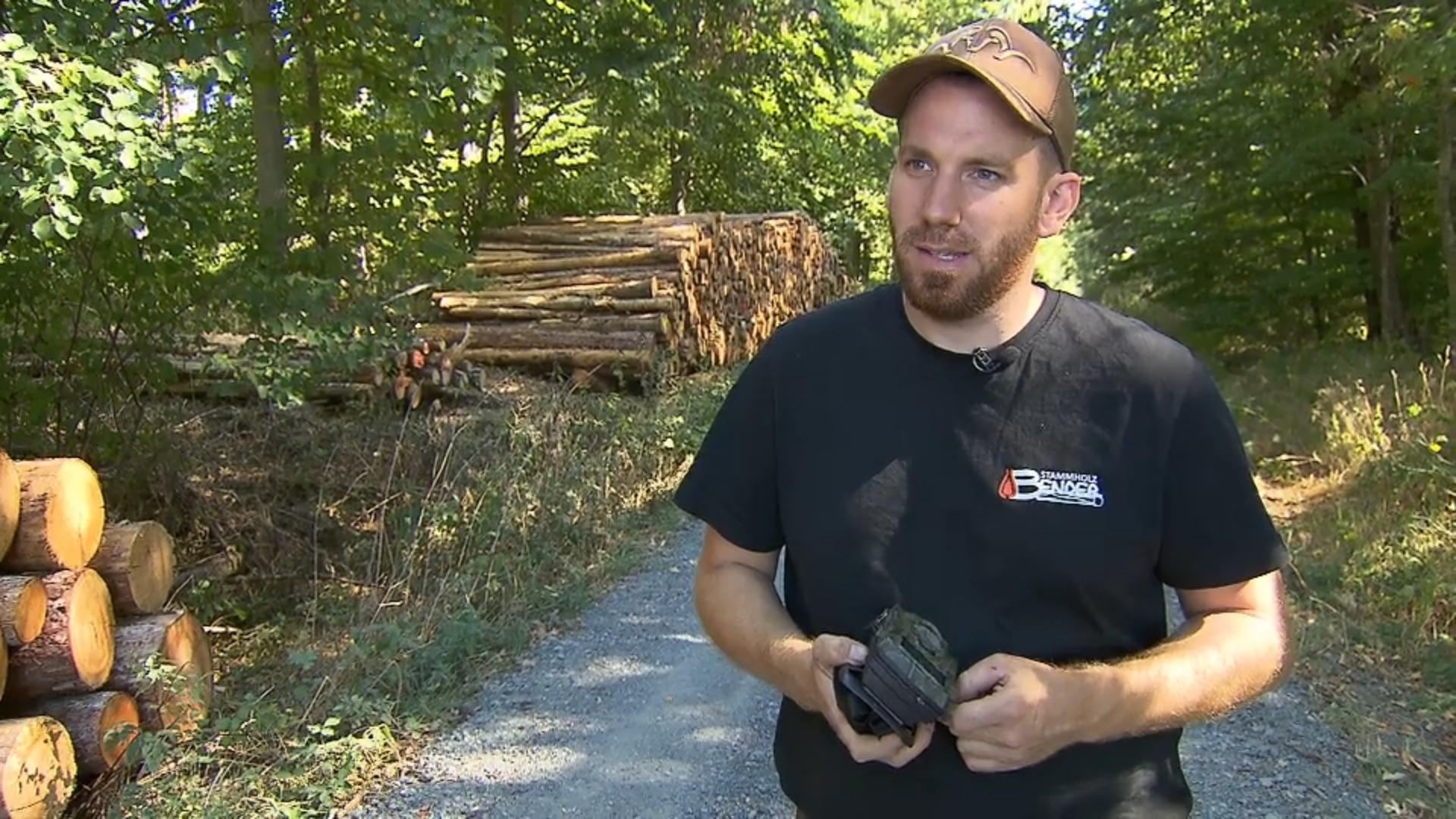 Hessischer Holzhändler wehrt sich Klau von Holzstämmen