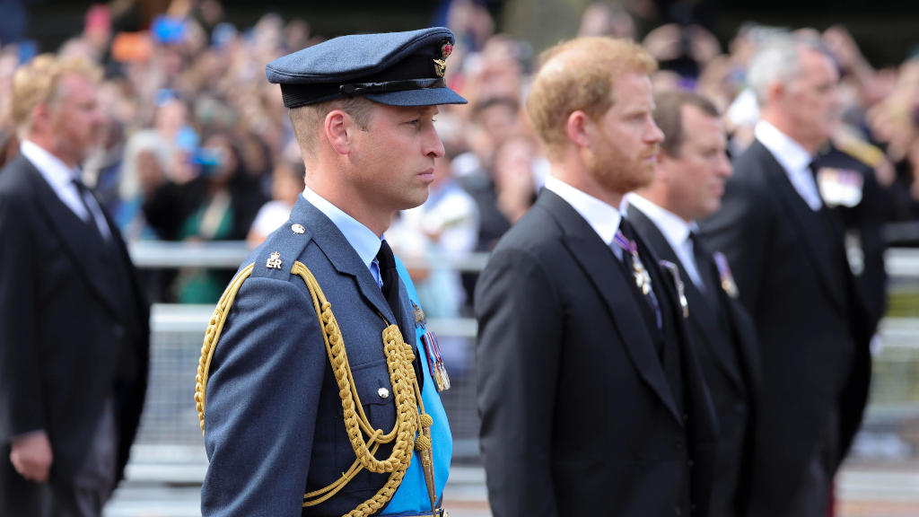 William e Harry piangono insieme la regina Ricordi del funerale di Diana