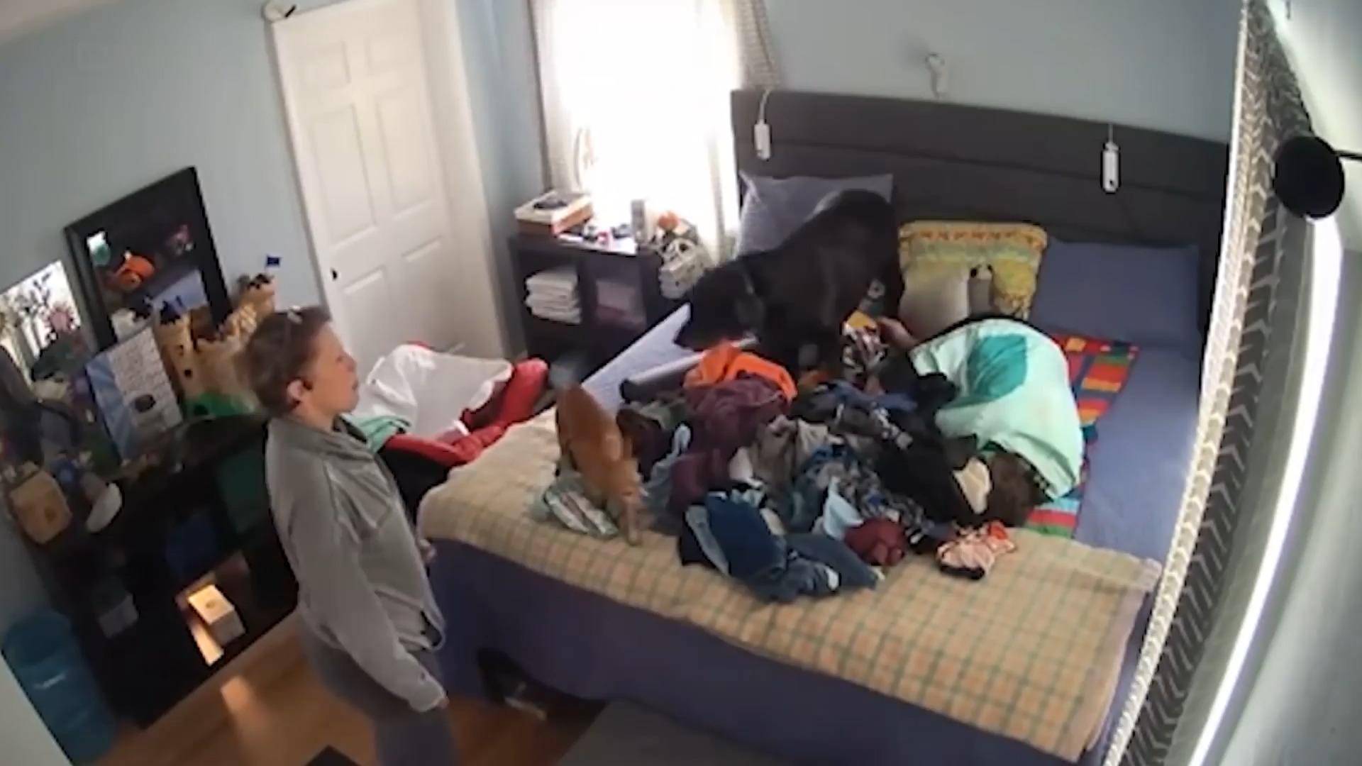 Obdachlose legt sich in Kinderzimmer-Bett Schockmoment für Familie